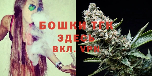 индика Аркадак