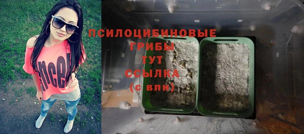 индика Аркадак