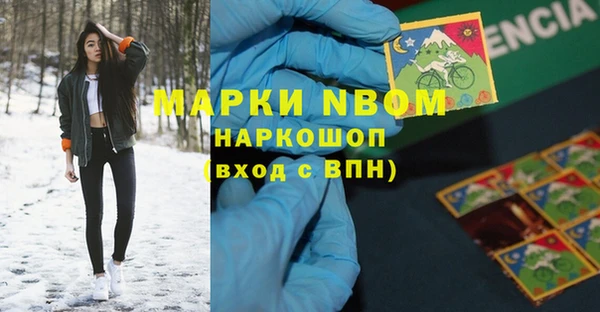 индика Аркадак