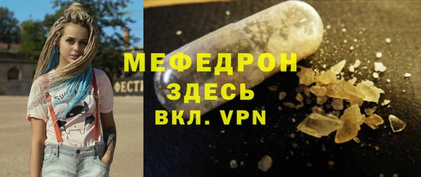 индика Аркадак