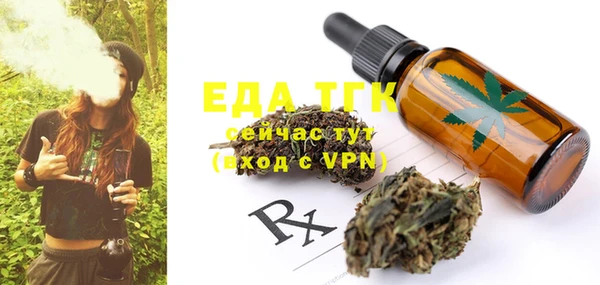 индика Аркадак