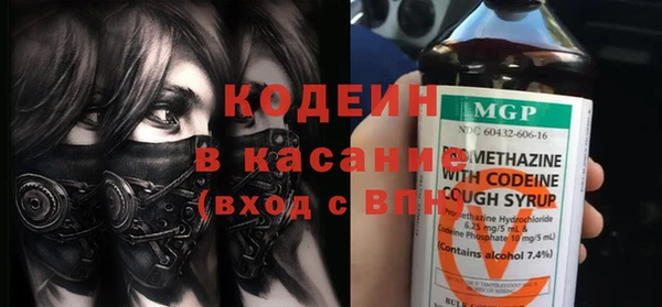 индика Аркадак