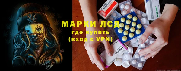 индика Аркадак
