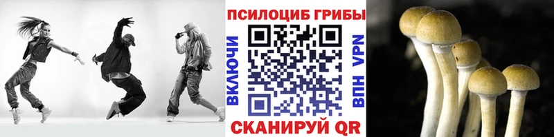 МЕГА зеркало  Солигалич  Псилоцибиновые грибы прущие грибы 